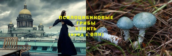 гашиш Заводоуковск